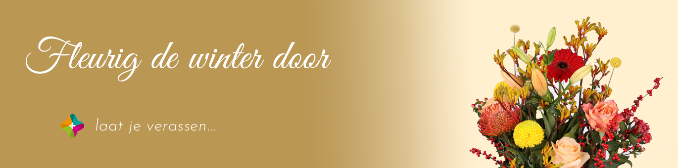 Warmte in de herfst Jeniffersbloemen