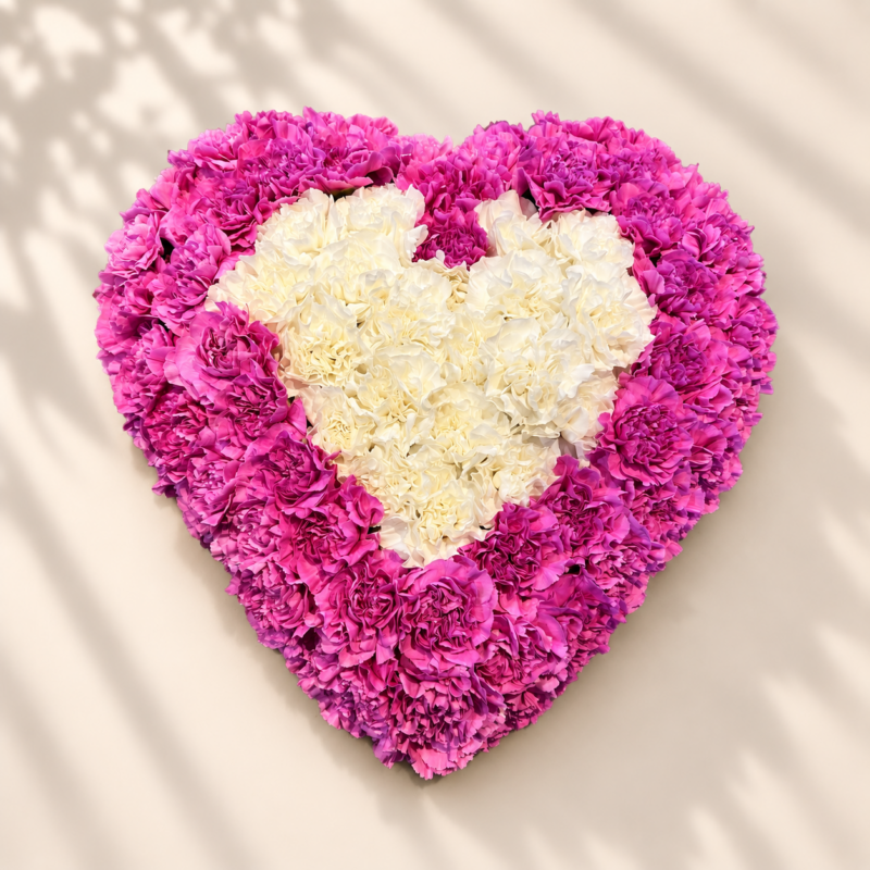 Roze en wit anjer hart